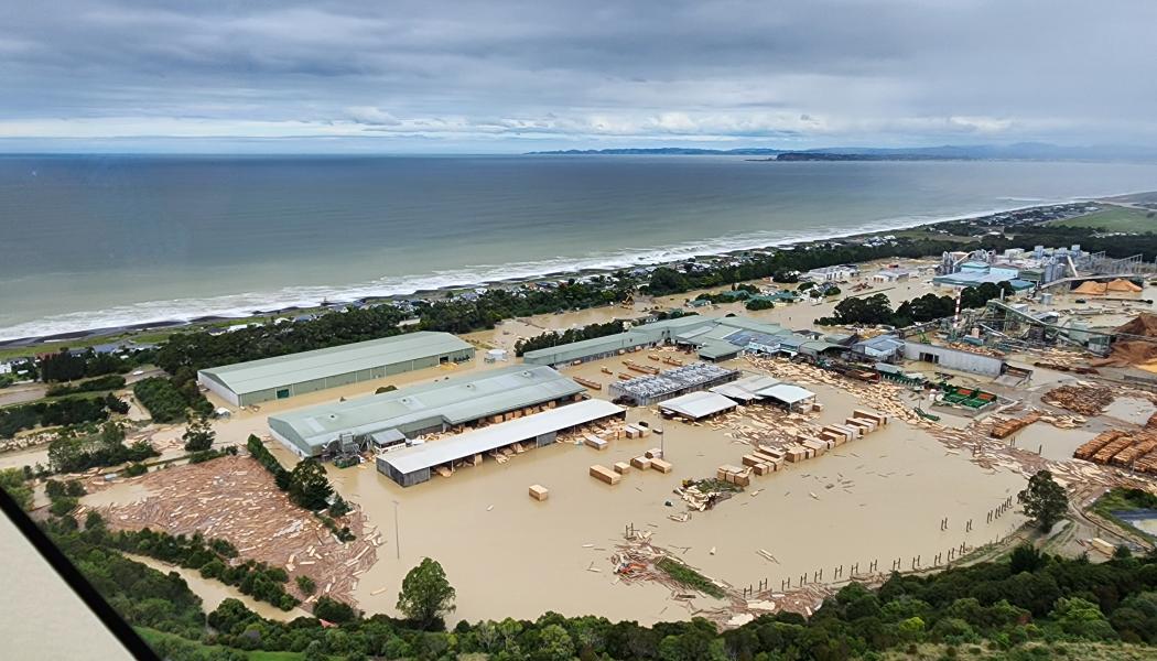 Pan Pac’s BCTMP pulp will soon re-enter the market and with a new PulpEye delivering fibre and pulp quality. Photo: Pan Pac