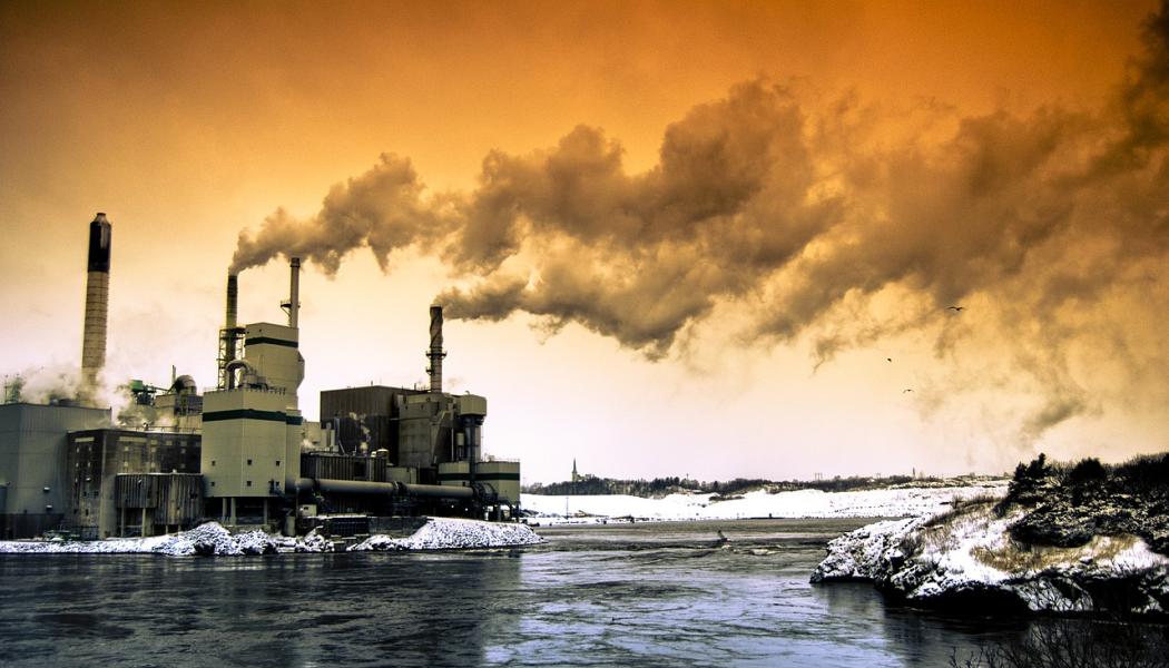 Pulp mill in Saint John. Photo: Sean McGrath from Quispamsis/Wikimedia Commons