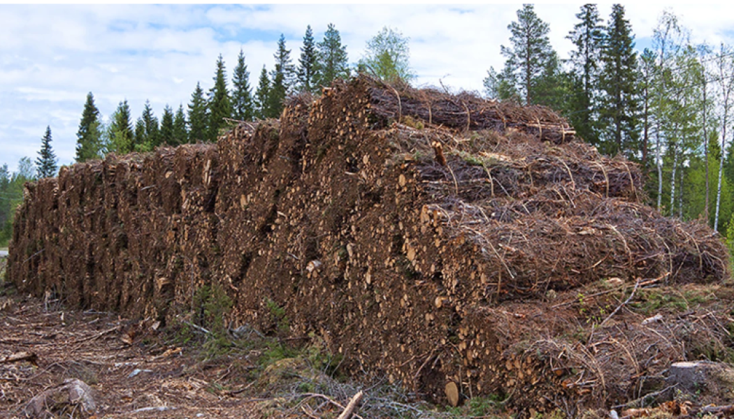 Demuth is ä Brazilian company specializing in wood handling solutions for the pulp industry. Photo: Valmet