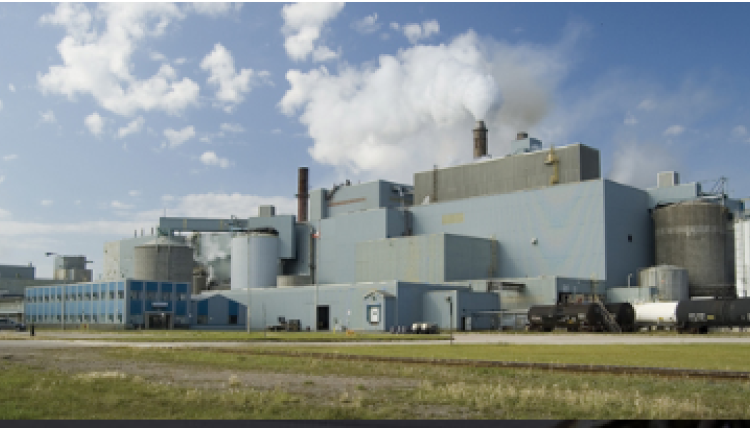  Located on the shores of Lake Superior, AV Terrace Bay  is a NBSK pulp mill producing over 320,000 tonnes annually. Photo: AV Terrace Bay