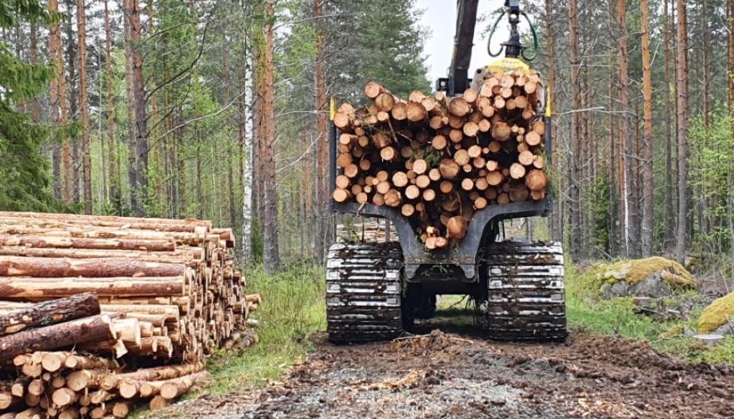 Forestry operations in Finland, illustrative image. Photo: Metsätyö