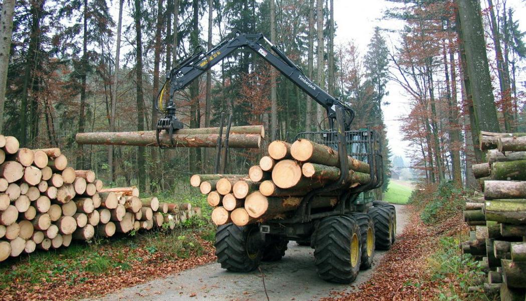 Finland’s forestry contracting industry has become increasingly concentrated in recent years. Larger contractors continue to expand while smaller machine operators face mounting pressure from rising costs, expensive equipment investments and tougher efficiency demands from the forest industry. Foto: Symbol image, credit: Walwissen