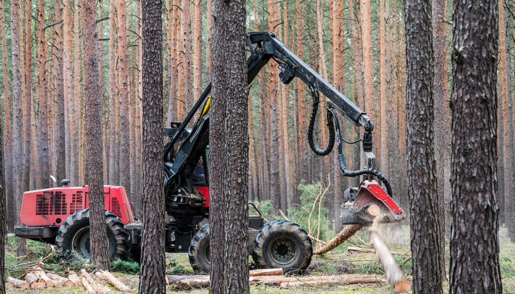 Om Sverige får en liknande status som Finland, kan svenska aktörer som handlar med berörda varor också omfattas av förenklade skyldigheter. Men tills en sådan klassificering är fastställd gäller fortsatt att aktörerna måste följa hela förordningens kravprofil. Foto: Creative Commons lic, pixabay, kredit: Mario Hagen