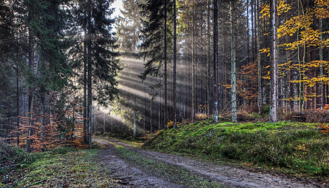Photo: Södra 