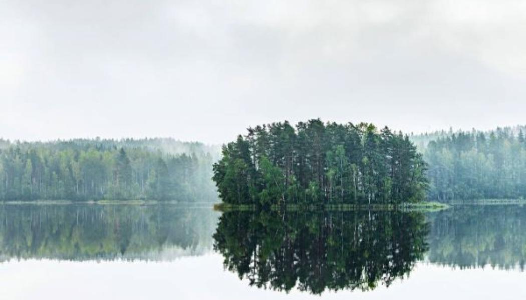 Stora Enso commits to reach net-zero carbon emissions by 2040 by becoming a signatory of The Climate Pledge. Photo: Stora Enso