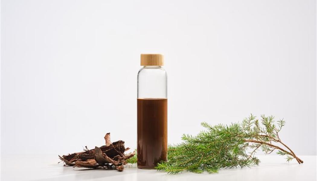 Södra is to add tannin to its range of forest-based products and seeks partners to develop new tannin-based sustainable alternatives to fossil products in a range of applications.  Photo: Södra 