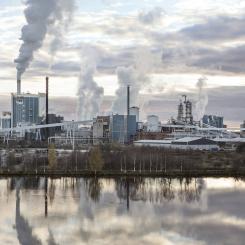 Photo: Kimmo Syväri / Koski Syväri/Metsä Group