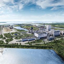 Photo: Metsä Group