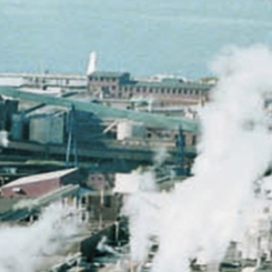 Photo: Stora Enso
