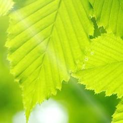 Photo: Valmet