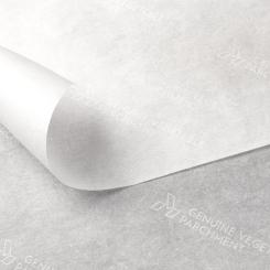 Ahlstrom is a global leader in combining fibers into sustainable specialty materials.  Photo: Ahlstrom