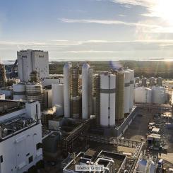 Photo: Metsä Group