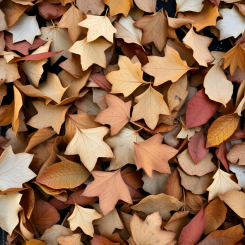 “It’s so obvious that paper can be made from leaves, as the leaf is part of the tree, the main material for papermaking”, Releaf Paper says.