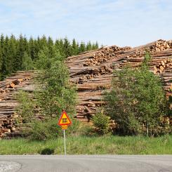 The US Lumber Coalition is an alliance of large and small softwood lumber producers from around the US.