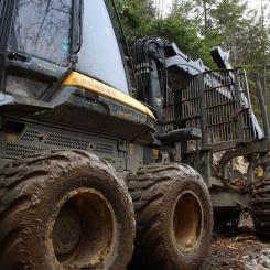 Heavy forestry machinery in operation. File photo. Photo: Creative Commons Lic. Credit: gwizuk