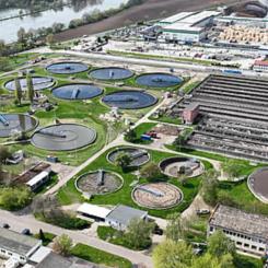 Mondi is investing in the Czech Republic. Photo by Mondi.
