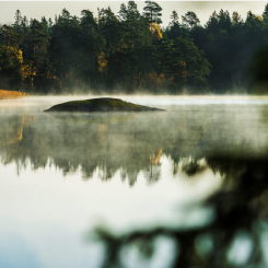 Photo: Holmen