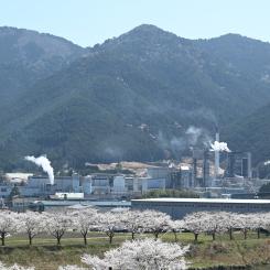 Photo: Hyogo Pulp Industries