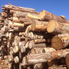 The partnership focuses on wood products, among other things.