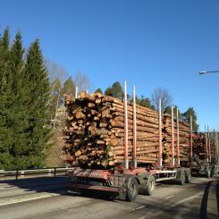 Stora Enso intends to create Europe's largest listed pure play forest company, comprising over 1.2 million hectares of forest land in Sweden with a fair value of approximately EUR 5.7 billion as of 30 September 2025.