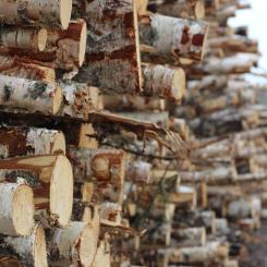 Weyerhaeuser's THRIVE program is a key pillar of the company's broader 3 by 30 Sustainability Ambition.