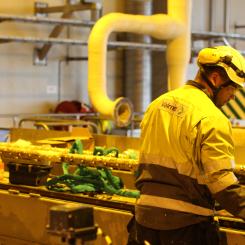 Photo: Simon Matthis