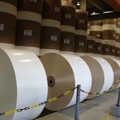 Navigator has a total production capacity of 1.6 million tpy of paper and 1.5 million tpy of eucalyptus pulp, of which 80 per cent integrated into paper.