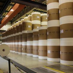 The government ordered the closure after Northern Pulp failed to meet the province's environmental requirements for a new effluent treatment plant.
