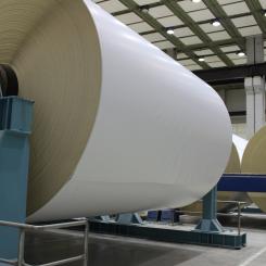 Recently, Veritiv also expanded its uncoated sheet offering by launching Vector™ opaque offset sheets as part of its portfolio of private label brands.
