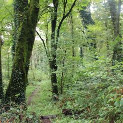 Photo: Valmet