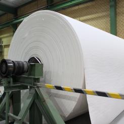 ETAP’s paper mill in Egypt.