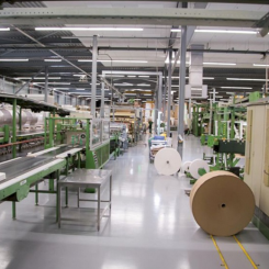 inside_segezha_group_
photo_provided_by_the_company