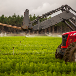 The acquisition makes gains for the company's target to be self-sufficient in wood, offers operational synergies, and generates value for Klabin. Photo: Klabin