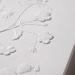 In packaging, paper is experiencing something of a renaissance.  Photo: James Cropper/Copyright: Plain Creative LTD