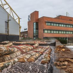 Finland’s forest sector splits: sawmill exports rise, but forest owners face weaker profits amid falling demand and structural shifts. Photo: Koskisen