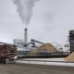 Finnish forest industry companies and research institutes see new business opportunities in carbon dioxide emissions from pulp mills and bioenergy facilities. Photo: Finnish Forest Industries Federation. Credit: Luke.