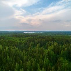 Photo: Metsä Board