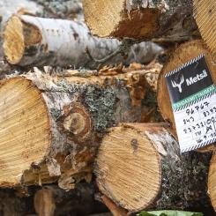Photo: Metsä Group