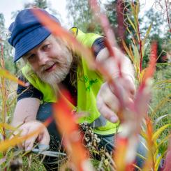 Photo: Metsä Group