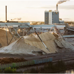 Photo: Metsä Fibre