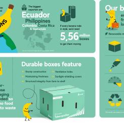Improved banana box composition is up to 10% lighter and made with around 40% recycled fibre. Image: Mondi