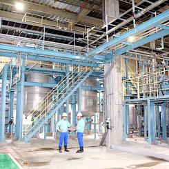 Nippon Paper Industries Operates the World's Largest Cellulose Nanofiber Production Facility at the Ishinomaki Mill. Photo: Nippon Paper Industries
