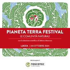 Image: Toscotec