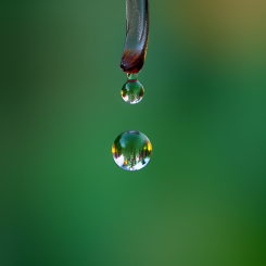 Kemira is a global leader in sustainable chemical solutions for water-intensive industries.