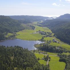 Regenerative land use offers a transformative role for nature in the built environment, according to Metsä.