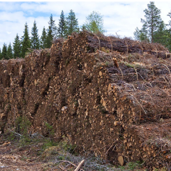 Demuth is ä Brazilian company specializing in wood handling solutions for the pulp industry. Photo: Valmet