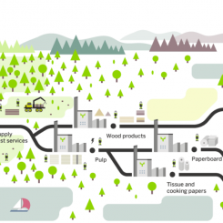 Ill: Metsä Group