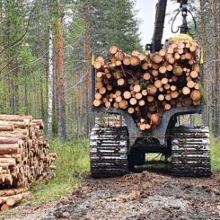 Forestry operations in Finland, illustrative image. Photo: Metsätyö