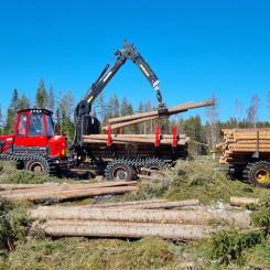 Stora Enso plans to place its extensive forest assets into a new company expected to be spun off from the group in 2027.  Foto: Stora Enso