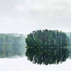 Stora Enso commits to reach net-zero carbon emissions by 2040 by becoming a signatory of The Climate Pledge. Photo: Stora Enso
